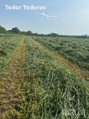Бали сено и смеска, снимка 4 - За селскостопански - 50527811