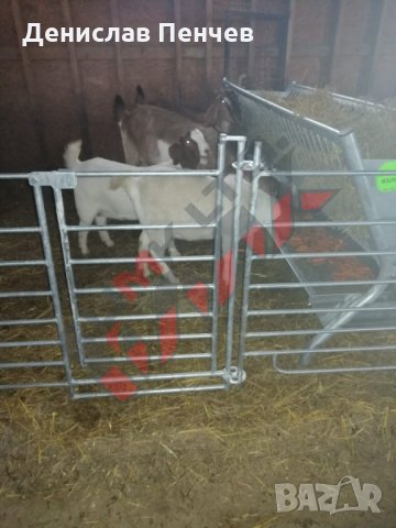 Прегради за овце и кози, снимка 7 - За селскостопански - 34655271