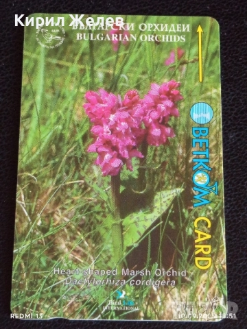 Две фонокарти БЕТКОМ, МОБИКА тема ЦВЕТЯ ОРХИДЕИ,ДЕТЕЛИНИ 31105, снимка 3 - Други ценни предмети - 51667690