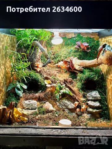 аквариуми и терариуми , снимка 3 - Терариуми и оборудване - 49408460