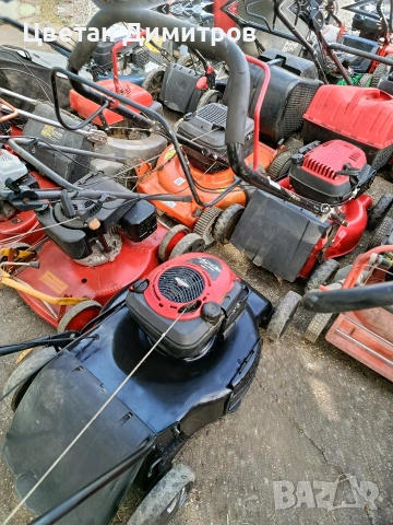 Косачки нов внос от Дания