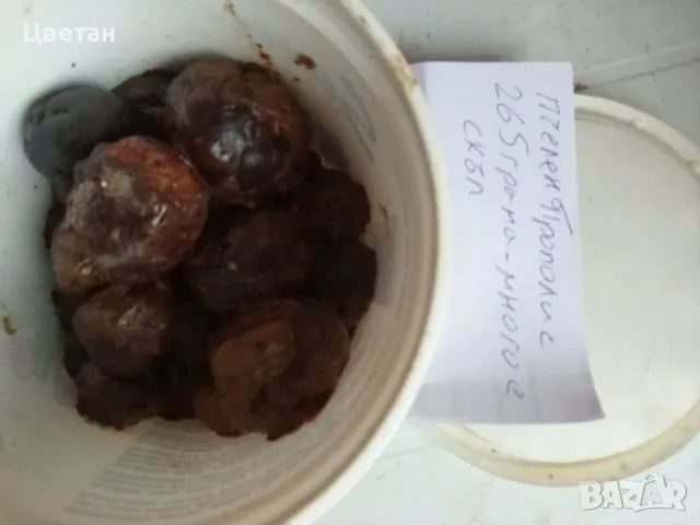 Прополис , снимка 1