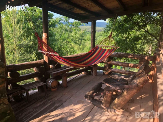 Къща, пчелин и двор с големи дървета