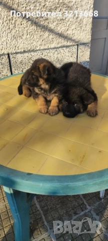 Момче и момиче