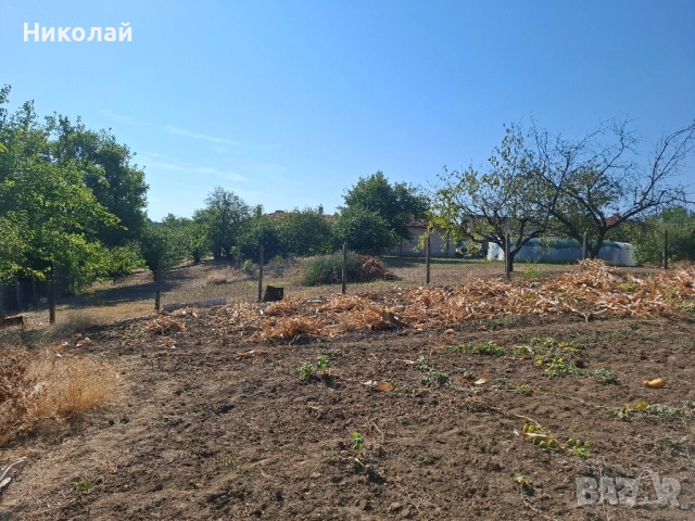 Имот в с. Калипетрово 1194 кв.м., снимка 12 - Парцели - 51746563