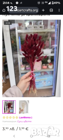 пухчета , заешки опашки, снимка 4 - Изкуствени цветя - 51974978