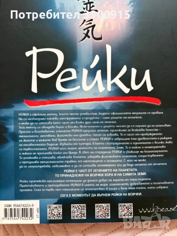 Книга Рейки на Даян Стейн , снимка 2 - Художествена литература - 53838112
