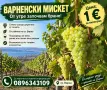 ГРОЗДЕ - Варненски Мискет, снимка 1