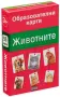 комплект образователни карти с животни , снимка 1