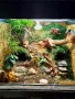 аквариуми и терариуми , снимка 3