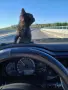 Малко момиченце търси своя дом, снимка 1