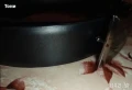 Нов Мъжки Колан Изцяло от Естествена Кожа 130см. , снимка 4