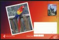 Пощенска картичка Фауна Птици Папагали Скулптура от Куба
