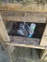 ОГРОМНА РАЗПРОДАЖБА НА ДОМАШНО ИМУЩЕСТВО И ЖИВОТНИ! , снимка 18