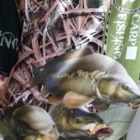 Mъжка/дамска тениска с шарани, щука или бас, pike, carp fishing, снимка 1 - Екипировка - 33860476