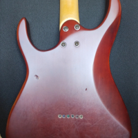 Електрическа китара Schecter Banshee SGR и бонус струни Ernie Ball 10-46, снимка 4 - Китари - 44785139