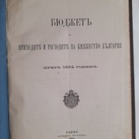 Бюджет за приходите и разходите на Княжество България през 1894 година 208 страници, снимка 1 - Колекции - 42021792