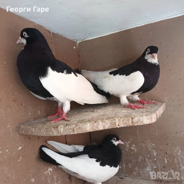 Ямболски, снимка 1