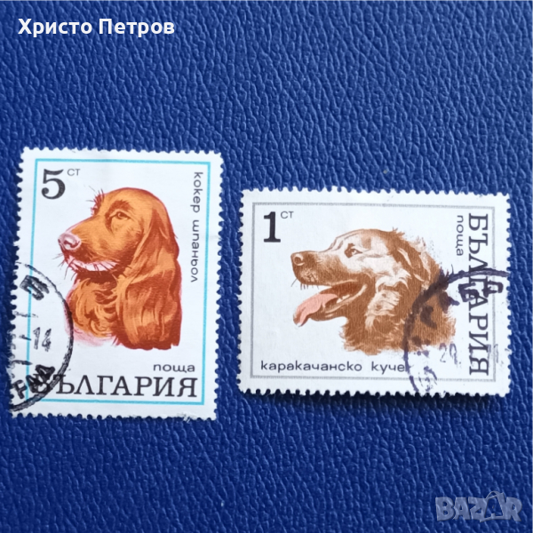 БЪЛГАРИЯ 1971 - ФАУНА, ПОРОДИ КУЧЕТА, снимка 1