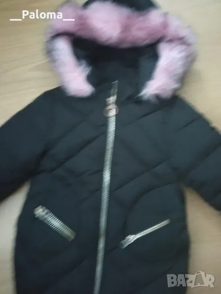 яке, снимка 1