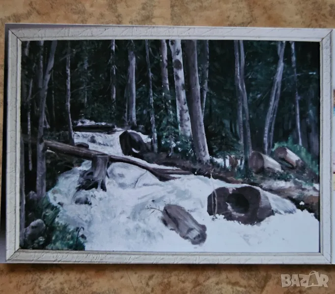 Рилска река, снимка 1