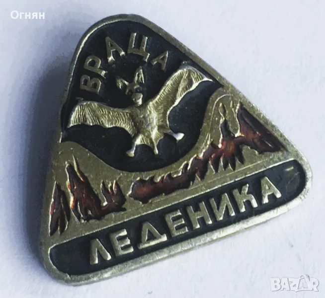Значка Леденика, снимка 1