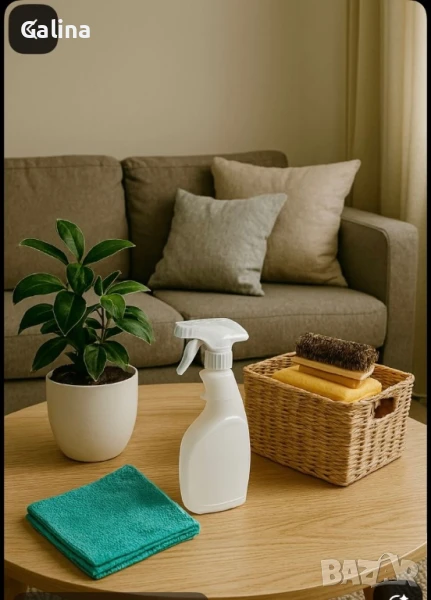 Почистване на домове и офиси, снимка 1