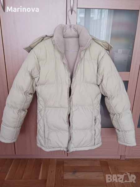 Двулицева пухенка, снимка 1