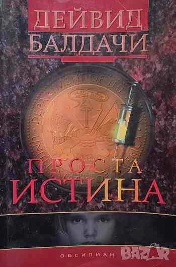 Проста истина Дейвид Балдачи, снимка 1