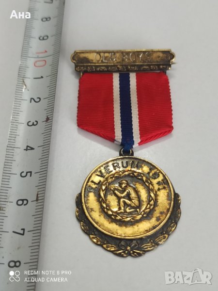 норвежки сребърен медал с позлата , снимка 1