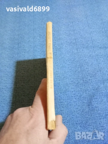 Трифон Палаузов - Митко, синът на отряда , снимка 2 - Българска литература - 53589451