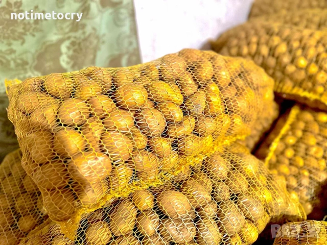 Продавам картофи за семе и консумация, снимка 2 - Сортови семена и луковици - 52569959