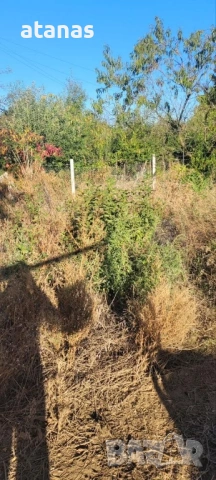 Оране фрезоване и мулчиране на дворове, снимка 13 - Други услуги - 53048896