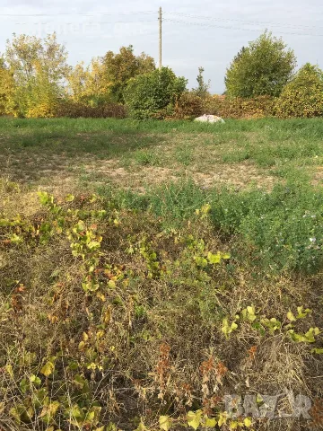 Парцел в регулация с ток, снимка 4 - Парцели - 56293259