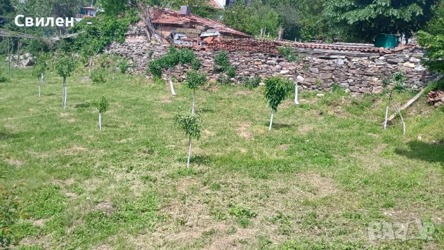 Къща с. Змейово, снимка 6 - Къщи - 50597889