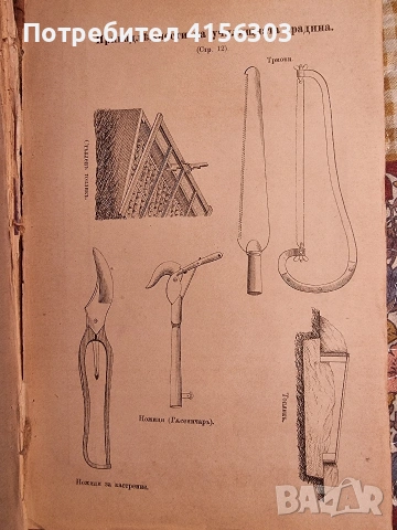 Пеперуди + Наставления за уредбата и гледането на училищните градини. 1896. , снимка 13 - Градински цветя и растения - 53784348