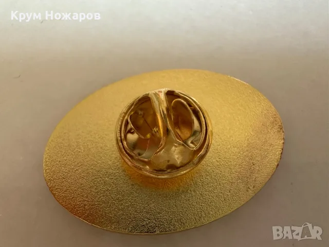 Продават се значки на Левски за цени, пишете на лс., снимка 9 - Футбол - 55717593