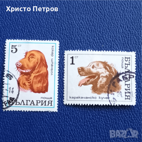 БЪЛГАРИЯ 1971 - ФАУНА, ПОРОДИ КУЧЕТА, снимка 1