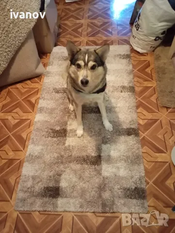 150/80  пътека 