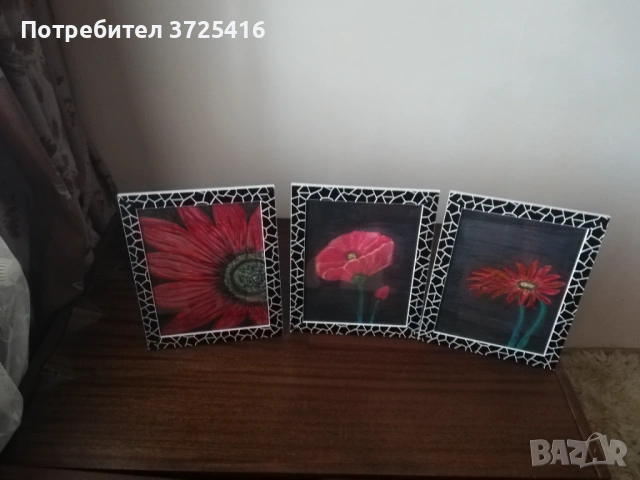 Картини "Цветя", комплект от 3 броя, всяка една с размери 23,5/28,5 см. Рамките са включени в цената