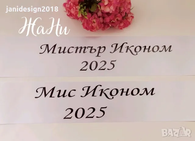 ленти Мис и Мистър Иконом 