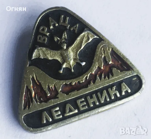 Значка Леденика, снимка 1