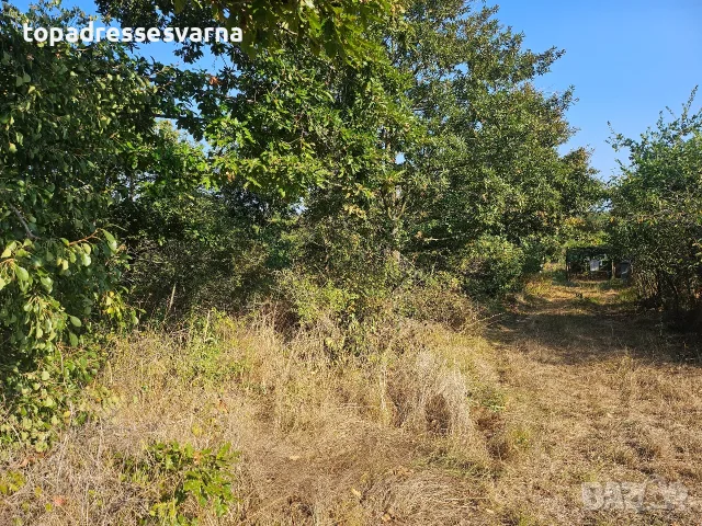 парцел местност  Боровец - юг, снимка 3 - Парцели - 56095853