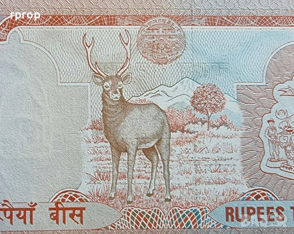 Непал. 1,2, 5, 10 и 20 рупии. 1997 -1998 година.UNC. , снимка 12 - Нумизматика и бонистика - 49966510