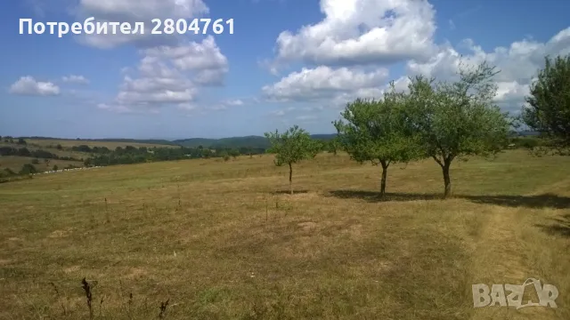 Земеделски имот в Индже войвода, снимка 3 - Земеделска земя - 50439651
