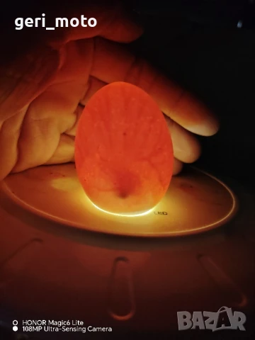 Оплодени яйца от Лакенфелдер, снимка 2 - Кокошки и пуйки - 50480951