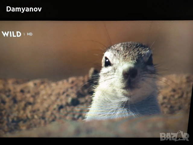 Гейминг Монитор Samsung Odyssey G3, снимка 5 - Монитори - 53223150