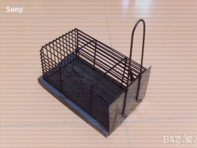 Стар капан за мишки.