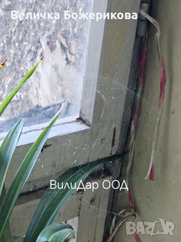 Почистване , снимка 7 - Почистване на домове - 51791355