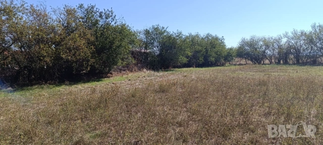 Продава, Парцел, с. Соколаре, 1 830 кв.м., 8 000 Е, снимка 7 - Парцели - 53014202